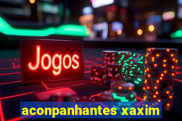 aconpanhantes xaxim